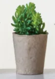 Faux Succulent 5-1/2"H